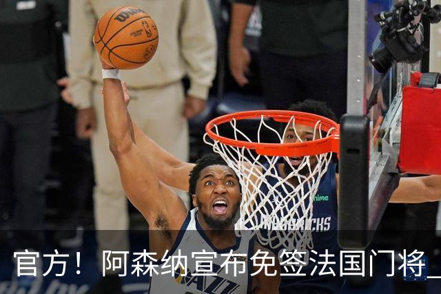 官方！阿森纳宣布免签法国门将 伊兰-梅利耶加盟披30号