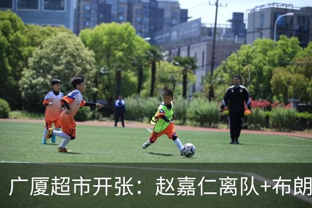 广厦超市开张：赵嘉仁离队+布朗也留不住，恐卖掉胡金秋才能自救
